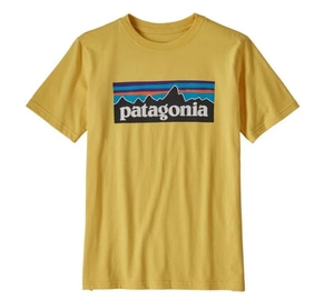 Patagonia tee - boys - 성인가능(XL,)