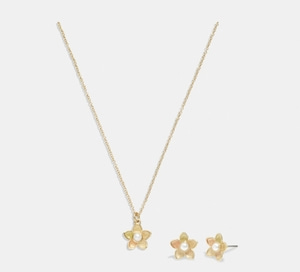 Coach Earrings And Necklace Set